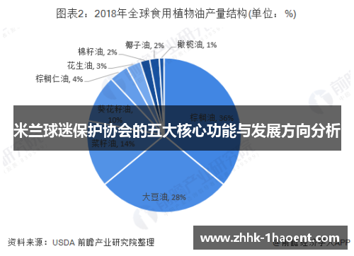 米兰球迷保护协会的五大核心功能与发展方向分析