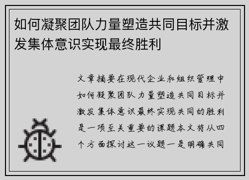 如何凝聚团队力量塑造共同目标并激发集体意识实现最终胜利