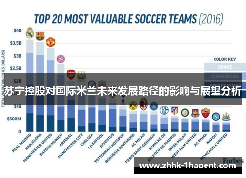 苏宁控股对国际米兰未来发展路径的影响与展望分析