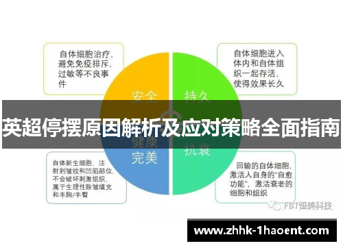 英超停摆原因解析及应对策略全面指南